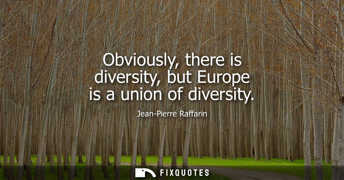 Obviously, there is diversity, but Europe is a union of diversity
