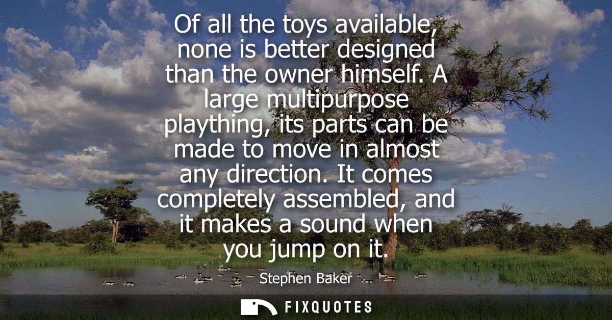 Of all the toys available, none is better designed than the owner himself. A large multipurpose plaything, its parts can