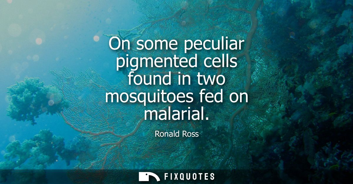 On some peculiar pigmented cells found in two mosquitoes fed on malarial