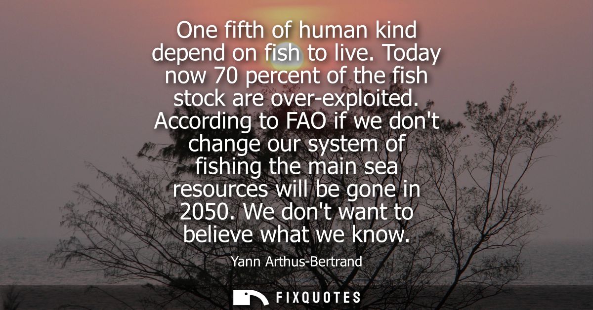 One fifth of human kind depend on fish to live. Today now 70 percent of the fish stock are over-exploited.