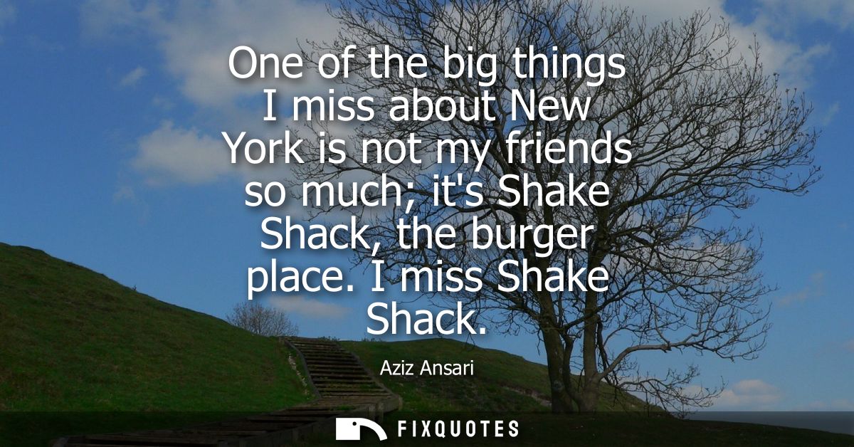 One of the big things I miss about New York is not my friends so much its Shake Shack, the burger place. I miss Shake Sh