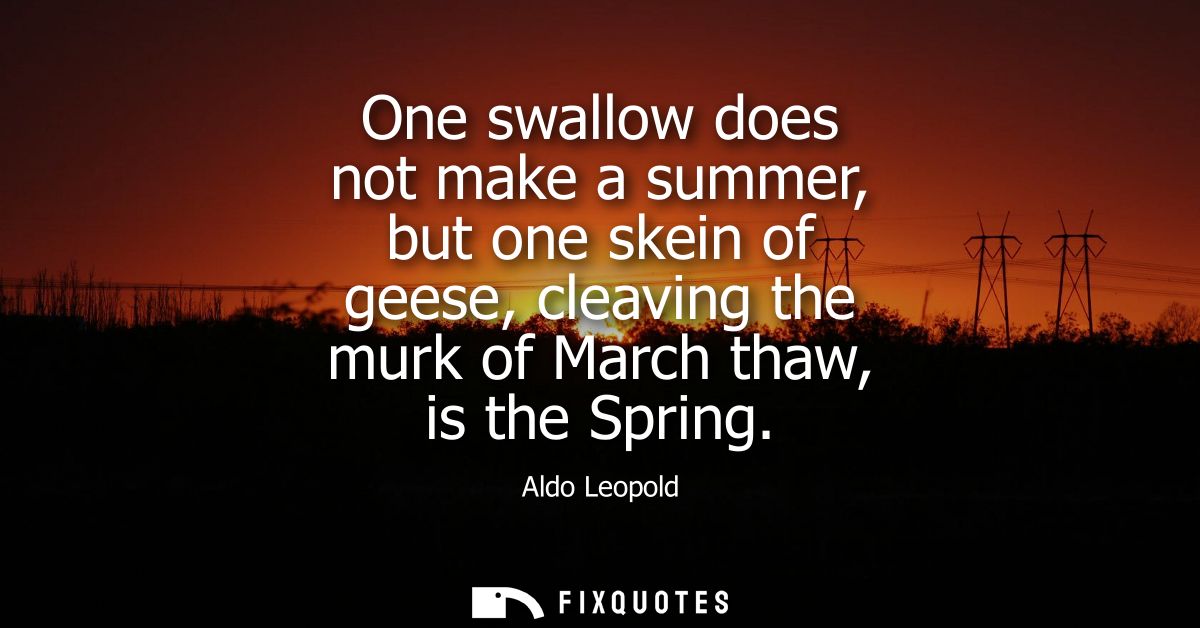 One swallow does not make a summer, but one skein of geese, cleaving the murk of March thaw, is the Spring
