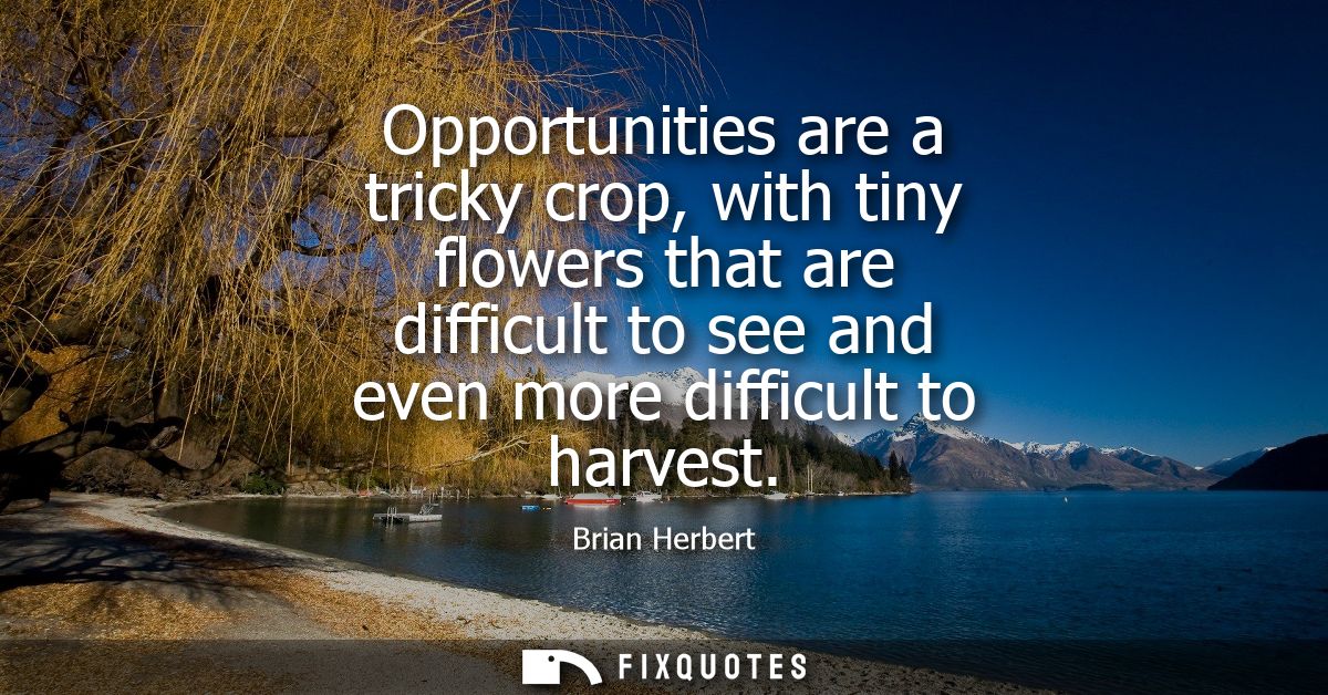 Opportunities are a tricky crop, with tiny flowers that are difficult to see and even more difficult to harvest