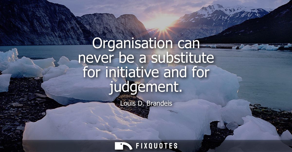Organisation can never be a substitute for initiative and for judgement