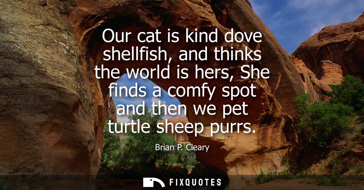 Our cat is kind dove shellfish, and thinks the world is hers, She finds a comfy spot and then we pet turtle sheep purrs