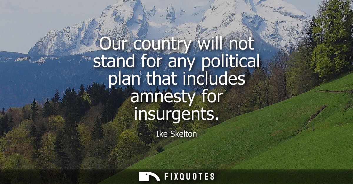 Our country will not stand for any political plan that includes amnesty for insurgents