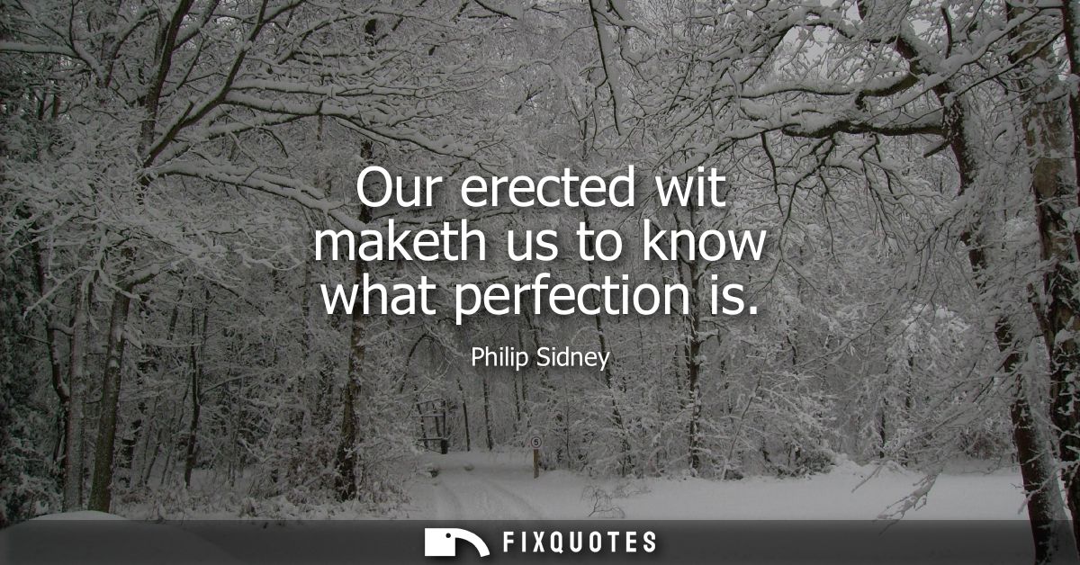 Our erected wit maketh us to know what perfection is