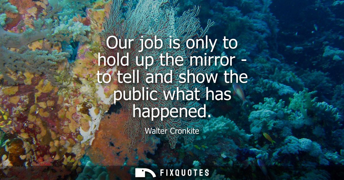Our job is only to hold up the mirror - to tell and show the public what has happened