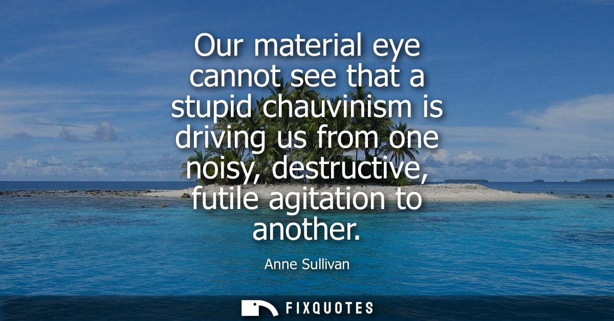 Our material eye cannot see that a stupid chauvinism is driving us from one noisy, destructive, futile agitation to anot