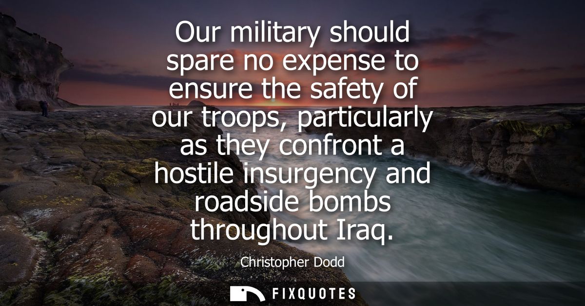 Our military should spare no expense to ensure the safety of our troops, particularly as they confront a hostile insurge