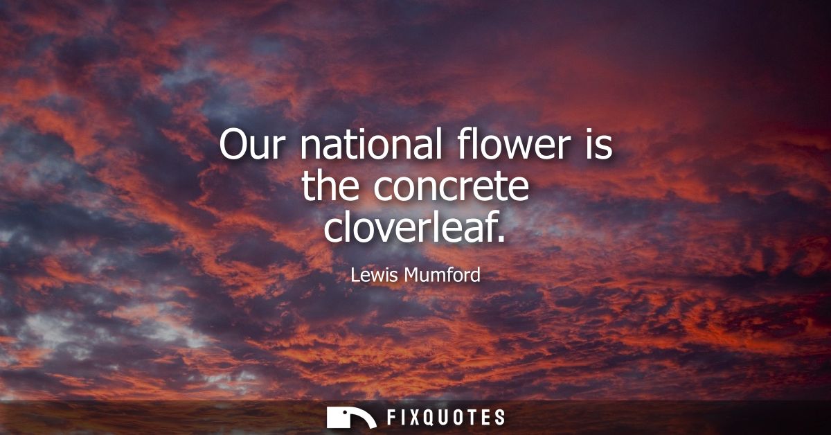 Our national flower is the concrete cloverleaf
