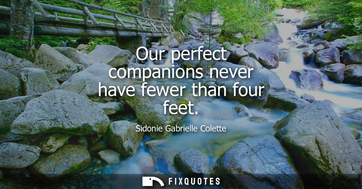 Our perfect companions never have fewer than four feet