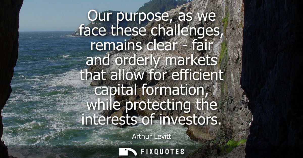 Our purpose, as we face these challenges, remains clear - fair and orderly markets that allow for efficient capital form