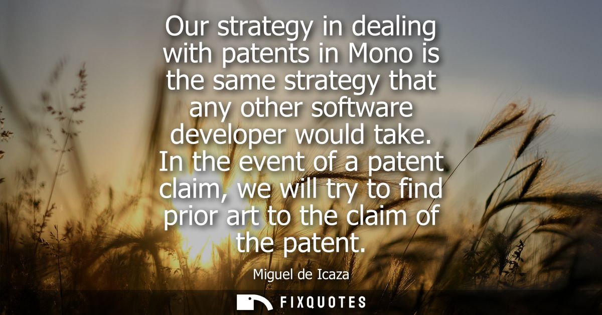 Our strategy in dealing with patents in Mono is the same strategy that any other software developer would take.