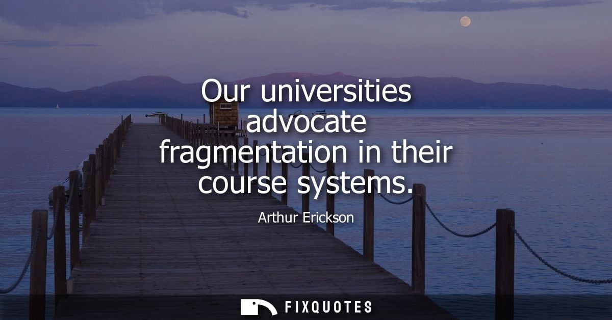 Our universities advocate fragmentation in their course systems