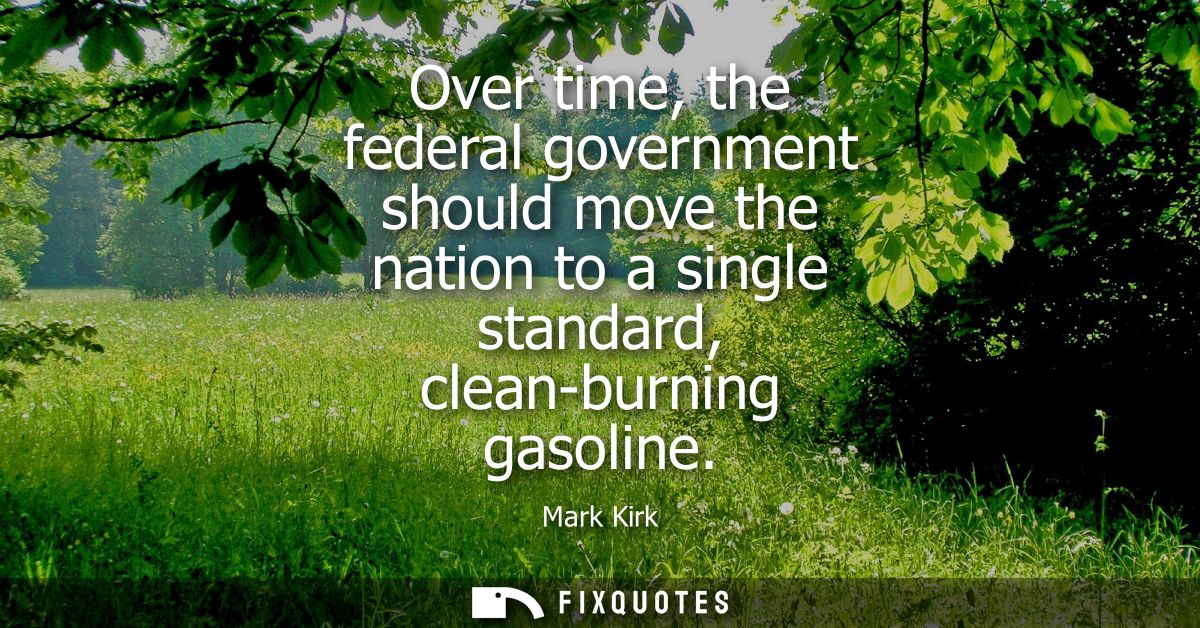 Over time, the federal government should move the nation to a single standard, clean-burning gasoline