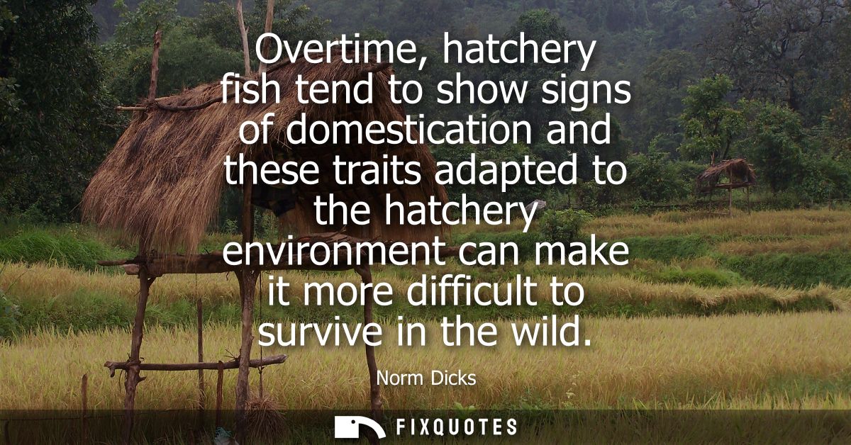 Overtime, hatchery fish tend to show signs of domestication and these traits adapted to the hatchery environment can mak
