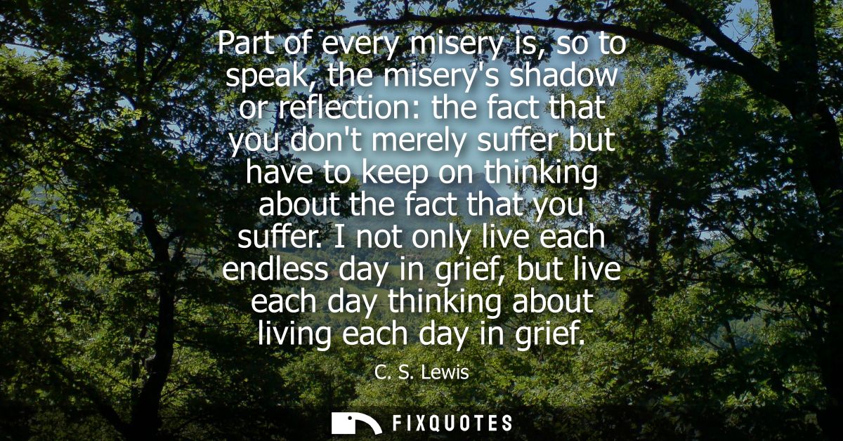 Part of every misery is, so to speak, the miserys shadow or reflection: the fact that you dont merely suffer but have to