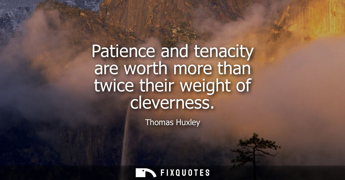 Patience and tenacity are worth more than twice their weight of cleverness