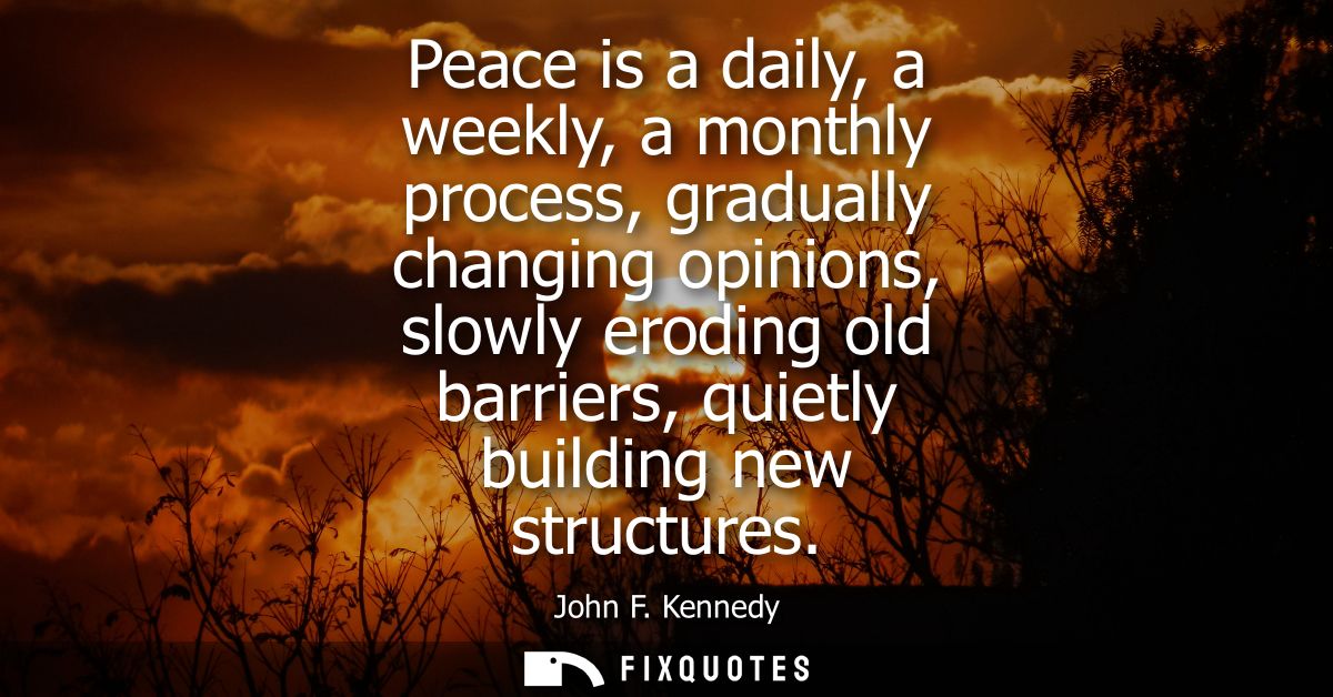 Peace is a daily, a weekly, a monthly process, gradually changing opinions, slowly eroding old barriers, quietly buildin