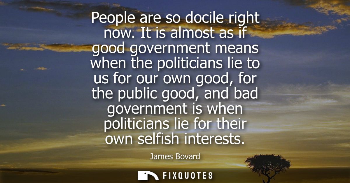 People are so docile right now. It is almost as if good government means when the politicians lie to us for our own good
