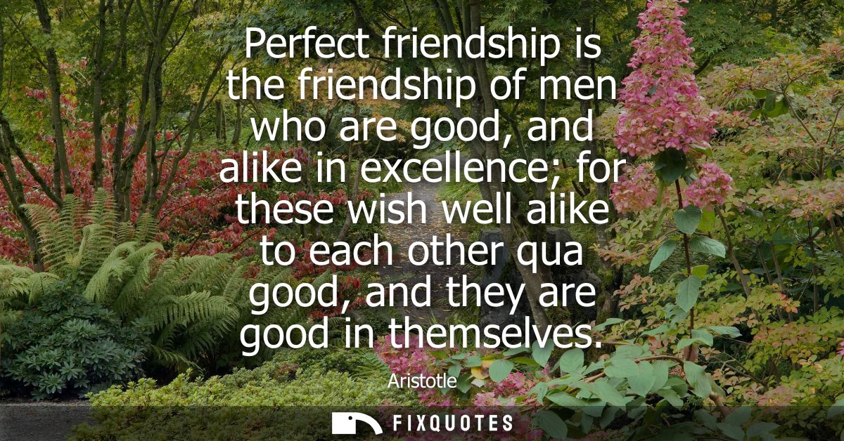 Perfect friendship is the friendship of men who are good, and alike in excellence for these wish well alike to each othe