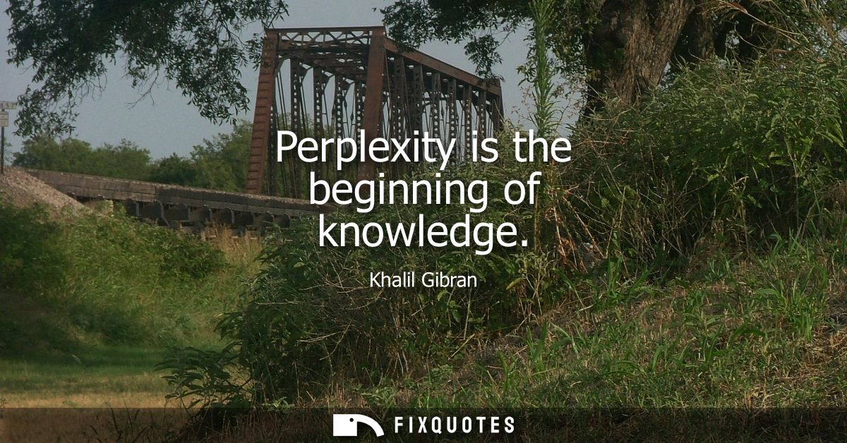Perplexity is the beginning of knowledge