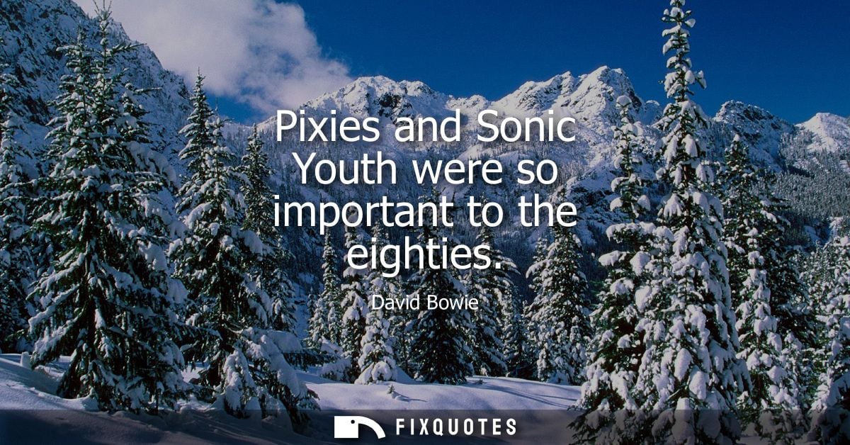 Pixies and Sonic Youth were so important to the eighties