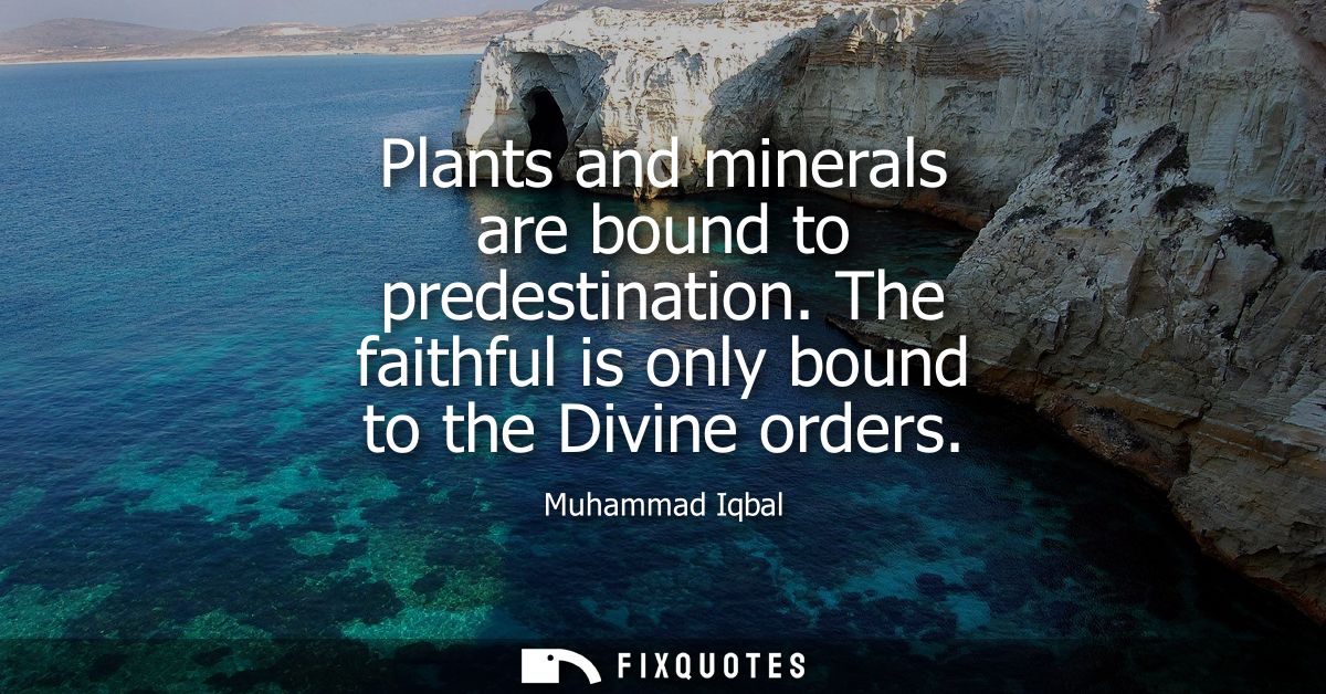 Plants and minerals are bound to predestination. The faithful is only bound to the Divine orders