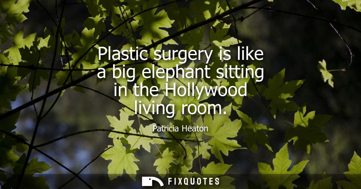 Plastic surgery is like a big elephant sitting in the Hollywood living room