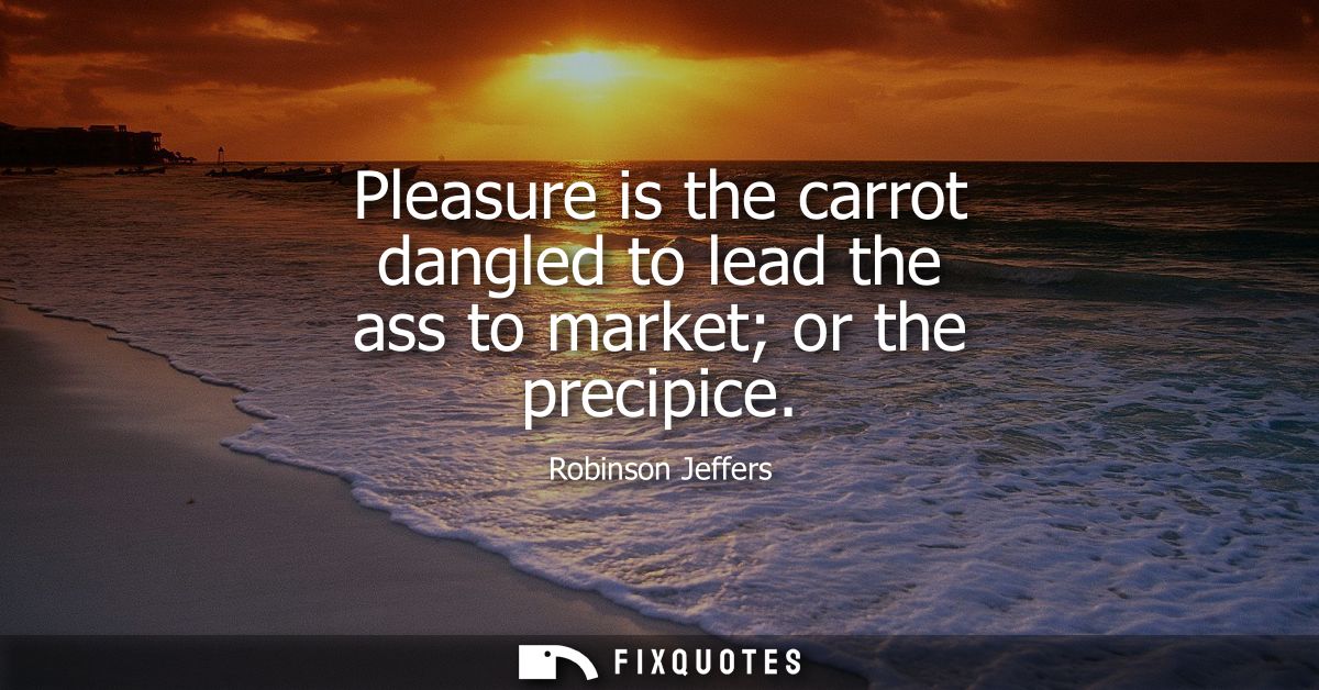 Pleasure is the carrot dangled to lead the ass to market or the precipice