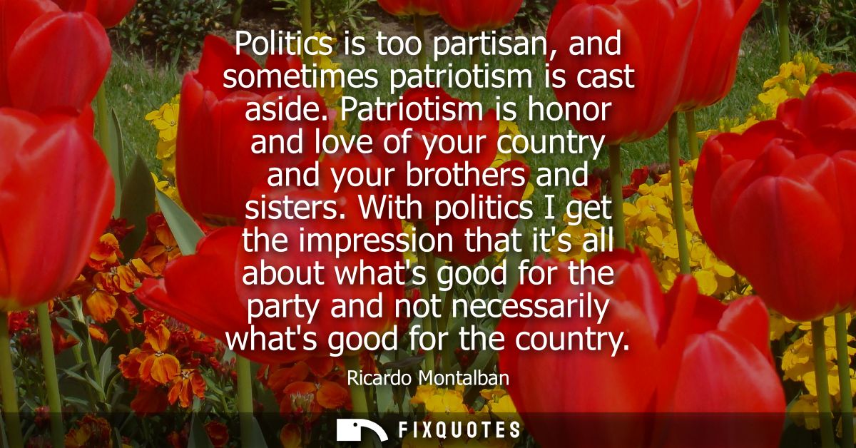 Politics is too partisan, and sometimes patriotism is cast aside. Patriotism is honor and love of your country and your 
