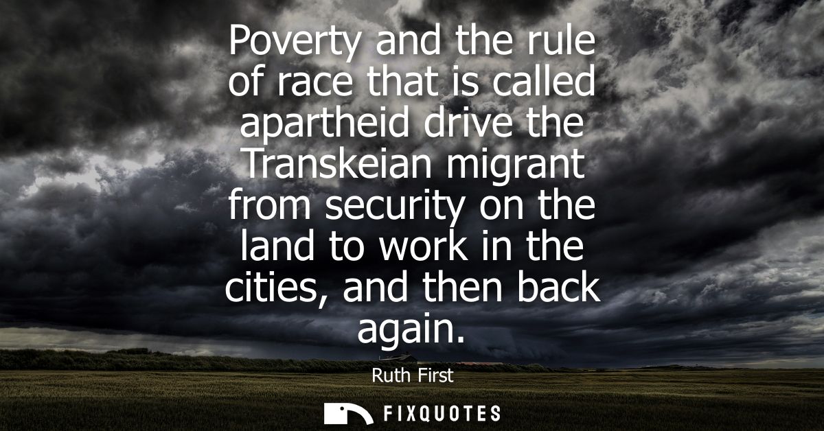 Poverty and the rule of race that is called apartheid drive the Transkeian migrant from security on the land to work in 