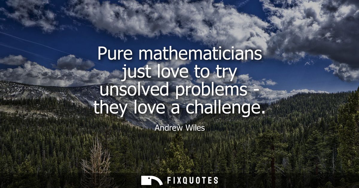 Pure mathematicians just love to try unsolved problems - they love a challenge