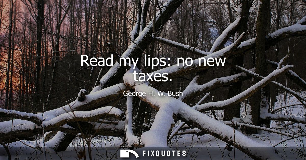 Read my lips: no new taxes