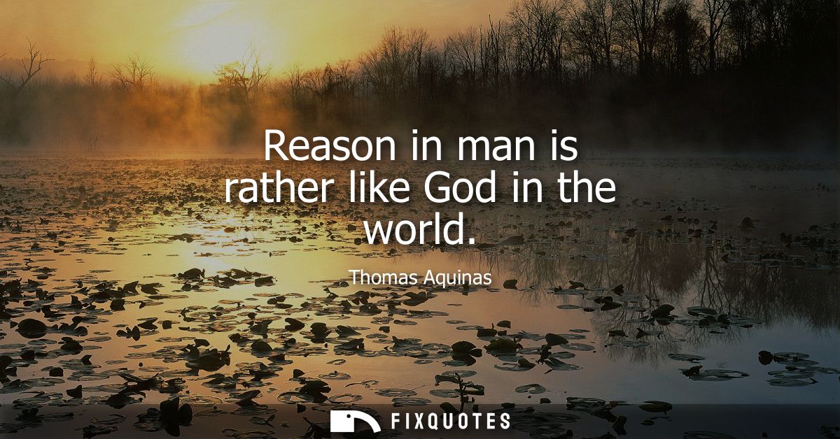 Reason in man is rather like God in the world