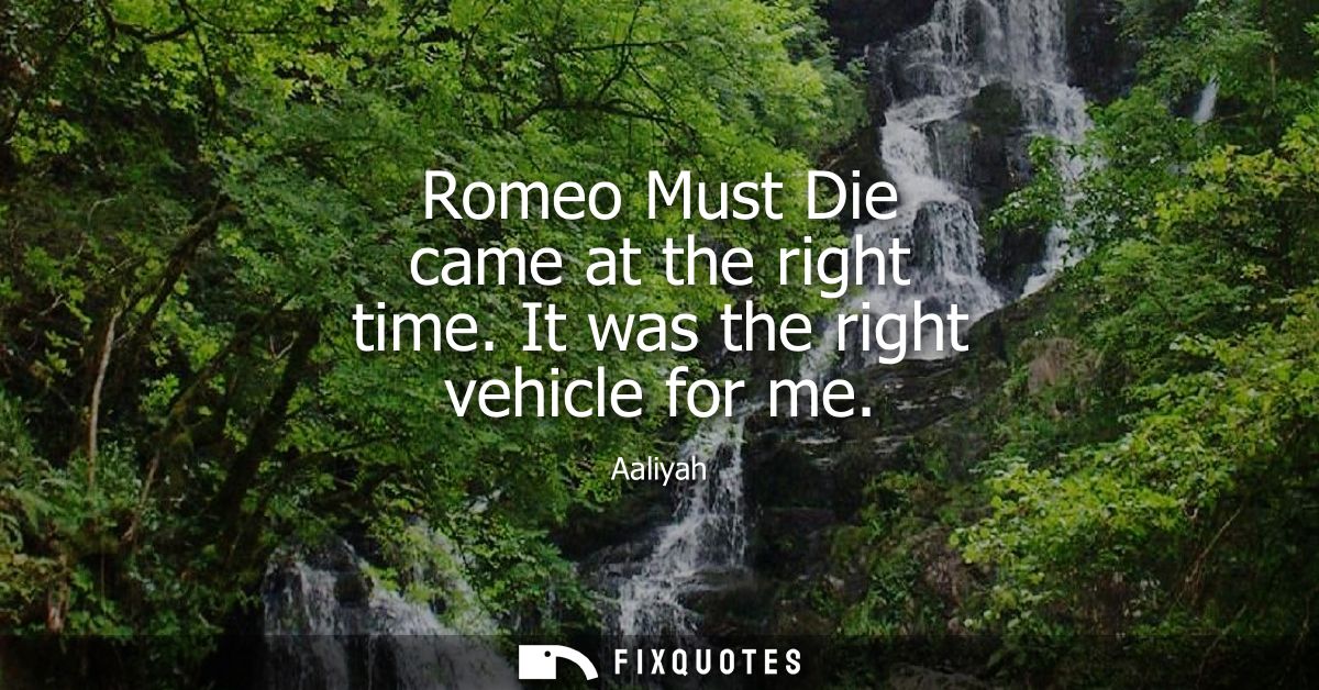 Romeo Must Die came at the right time. It was the right vehicle for me