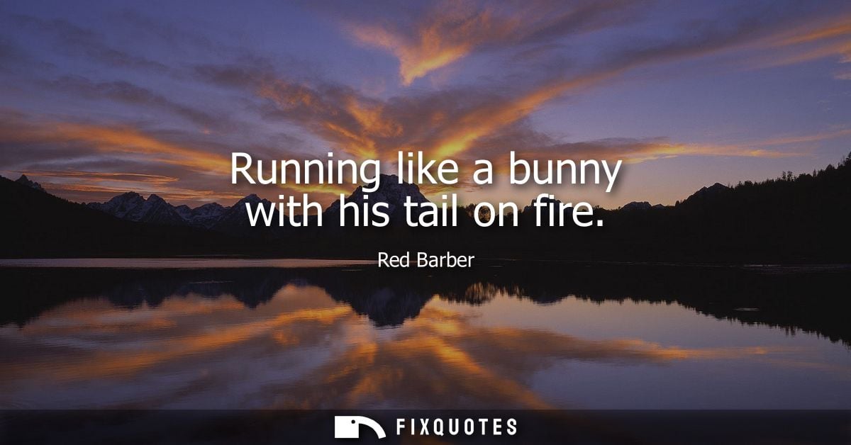 Running like a bunny with his tail on fire