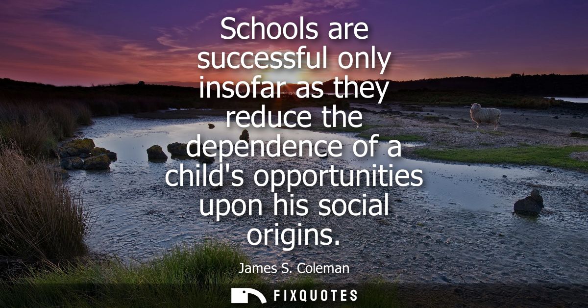 Schools are successful only insofar as they reduce the dependence of a childs opportunities upon his social origins