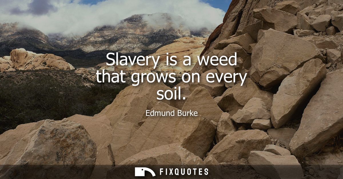 Slavery is a weed that grows on every soil