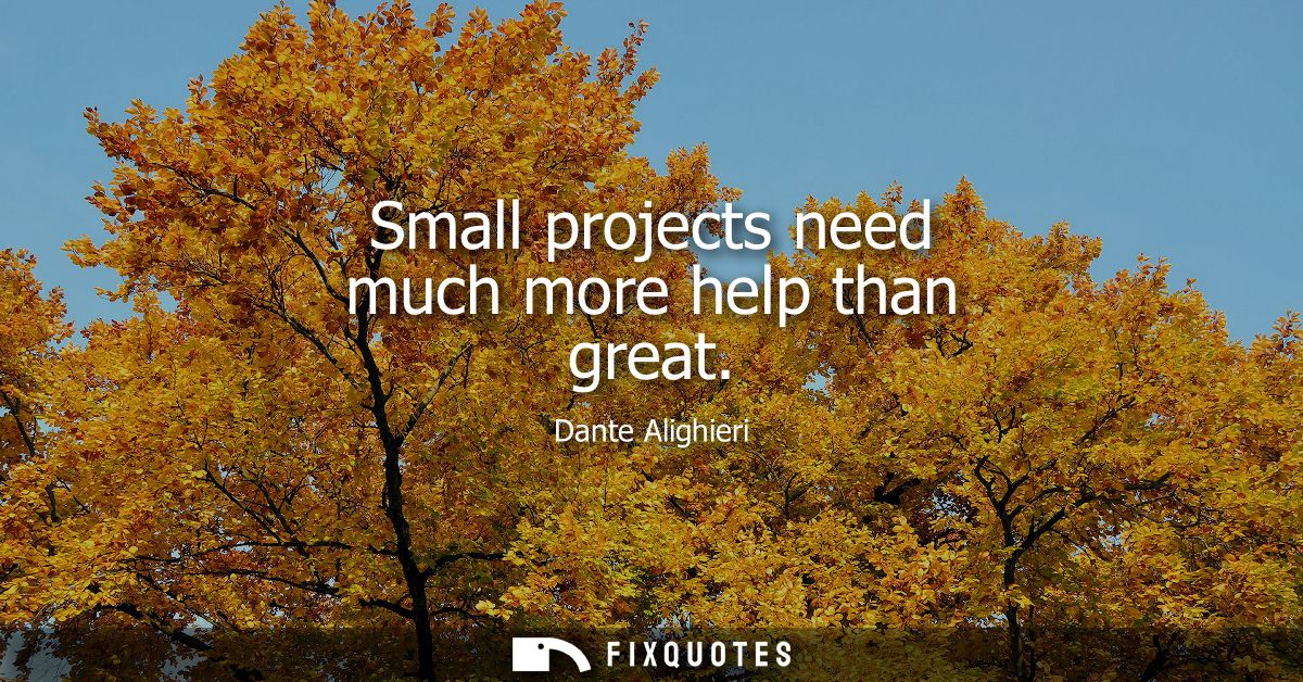 Small projects need much more help than great
