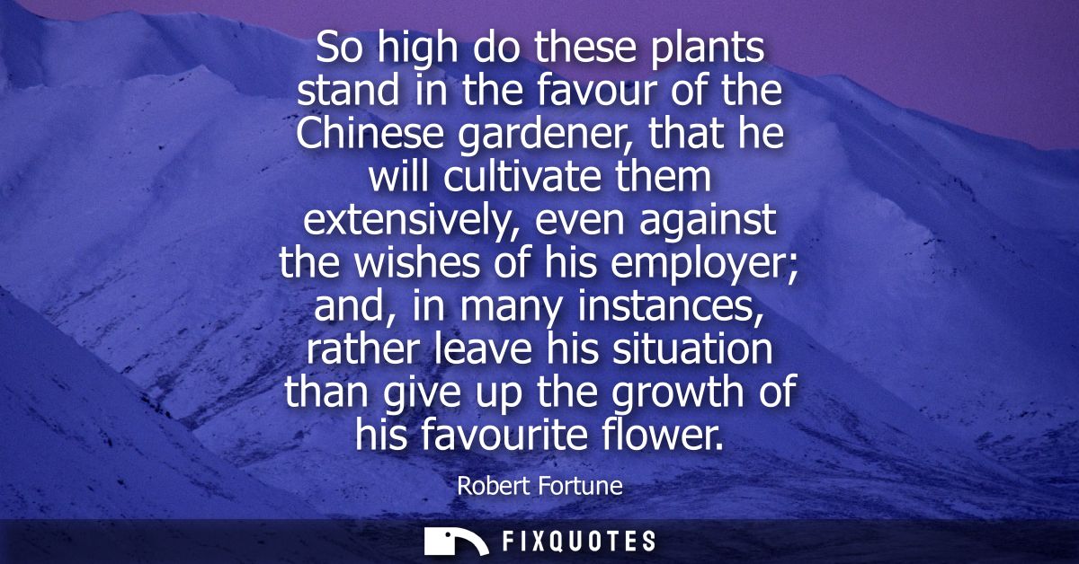 So high do these plants stand in the favour of the Chinese gardener, that he will cultivate them extensively, even again