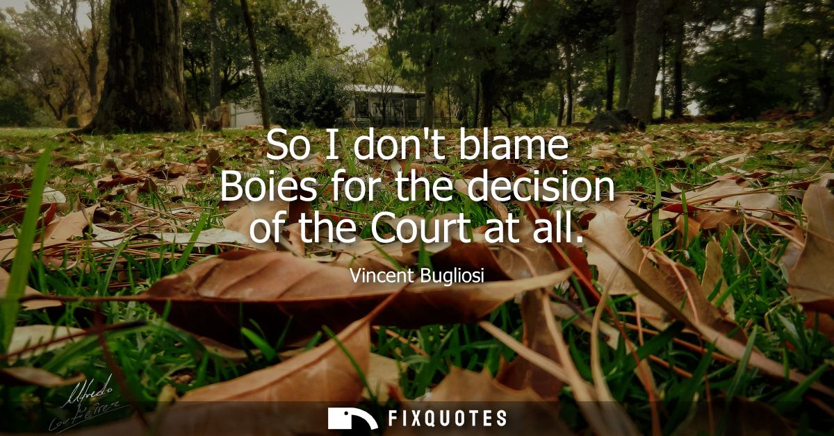 So I dont blame Boies for the decision of the Court at all