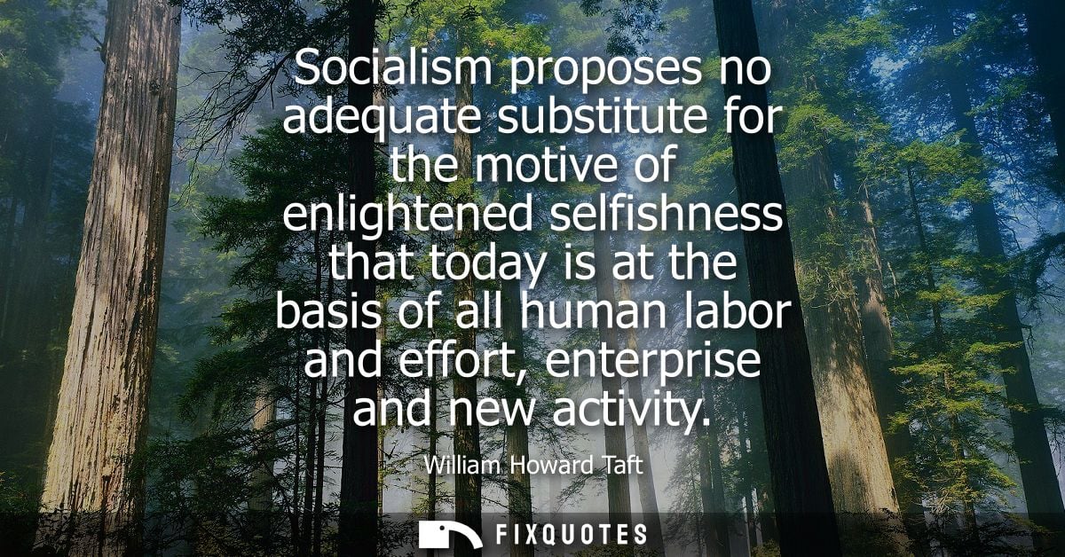 Socialism proposes no adequate substitute for the motive of enlightened selfishness that today is at the basis of all hu