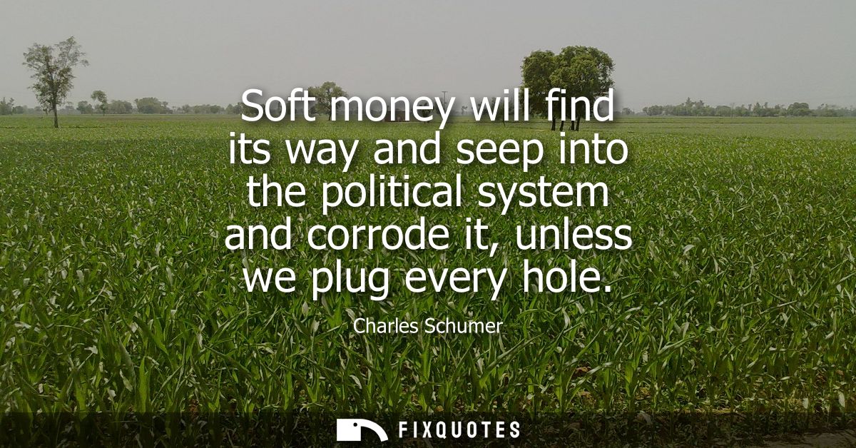 Soft money will find its way and seep into the political system and corrode it, unless we plug every hole