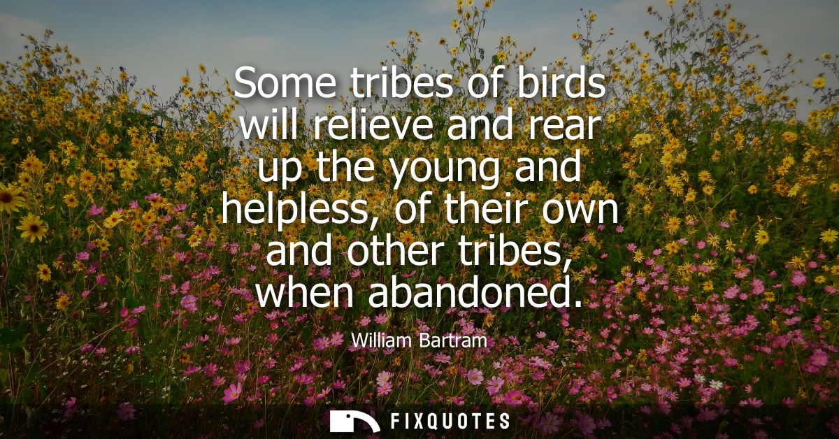 Some tribes of birds will relieve and rear up the young and helpless, of their own and other tribes, when abandoned