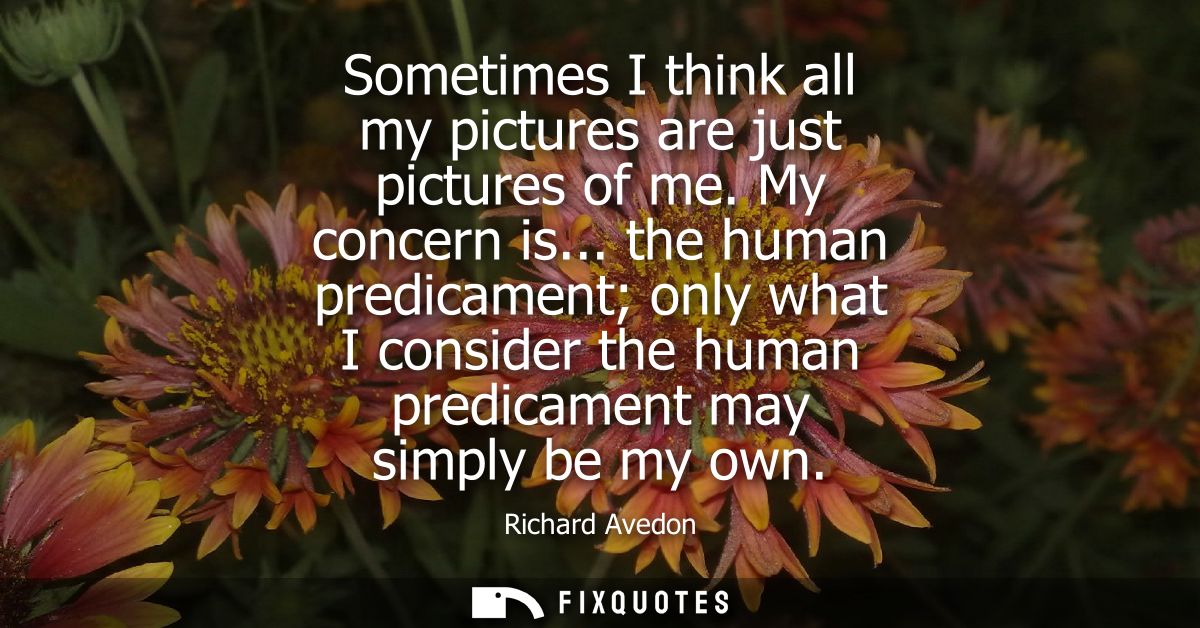 Sometimes I think all my pictures are just pictures of me. My concern is... the human predicament only what I consider t