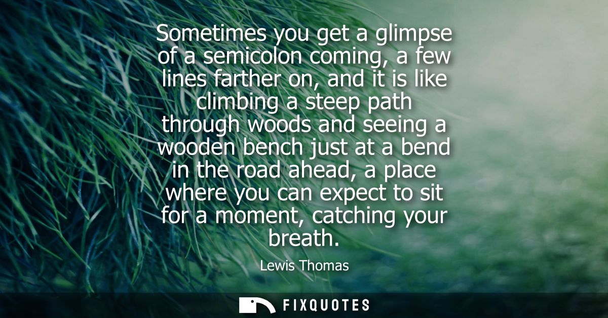 Sometimes you get a glimpse of a semicolon coming, a few lines farther on, and it is like climbing a steep path through 