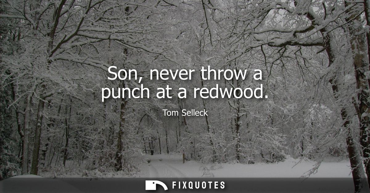 Son, never throw a punch at a redwood