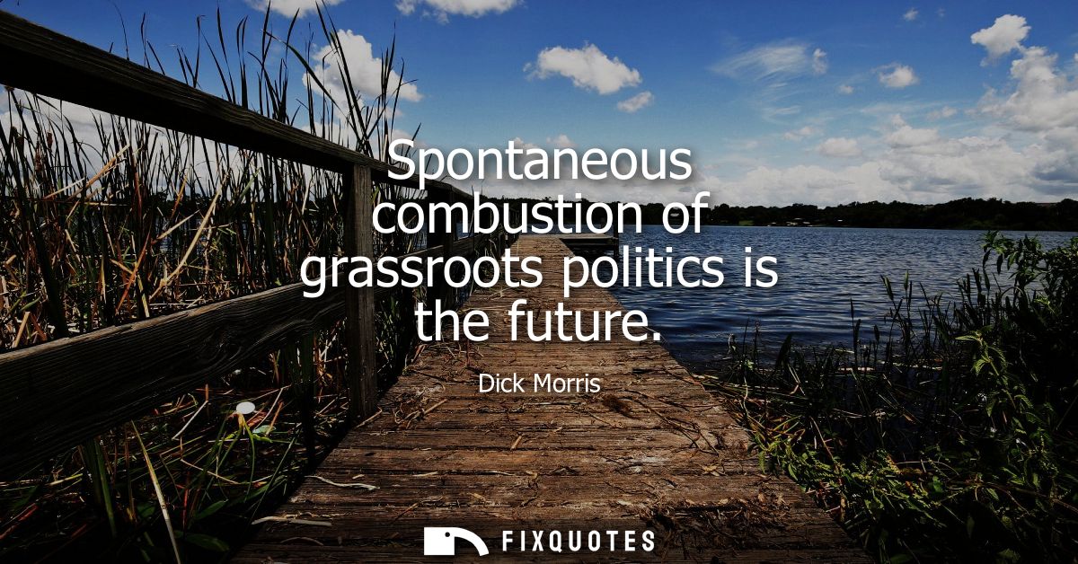 Spontaneous combustion of grassroots politics is the future